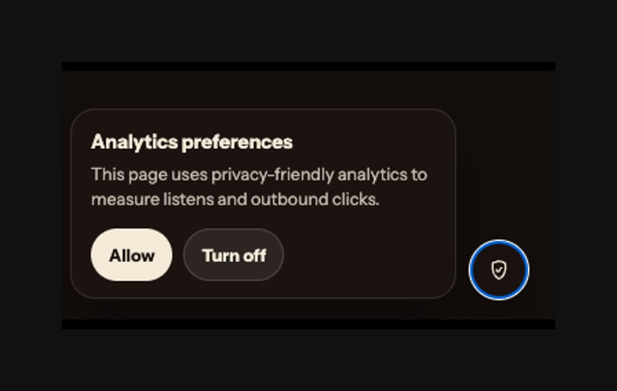 Analytics preferences banner from AudioMultiCut showing privacy-friendly analytics controls.
